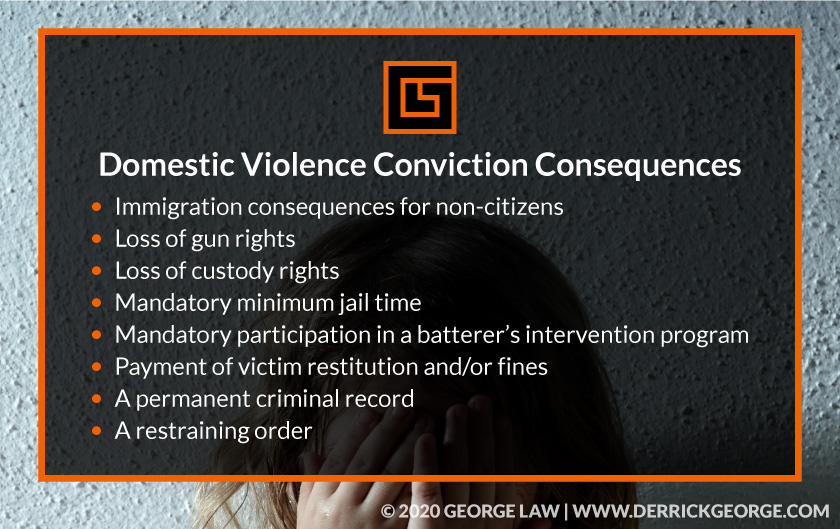 Text- Domestic Violence conviction consequences ...